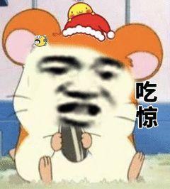 西瓜头吃惊表情包,揭秘网络迷因的惊人魅力